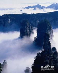 张家界跟团爆料视频播放,真实体验曝光，带你领略自然奇观背后的故事  第3张